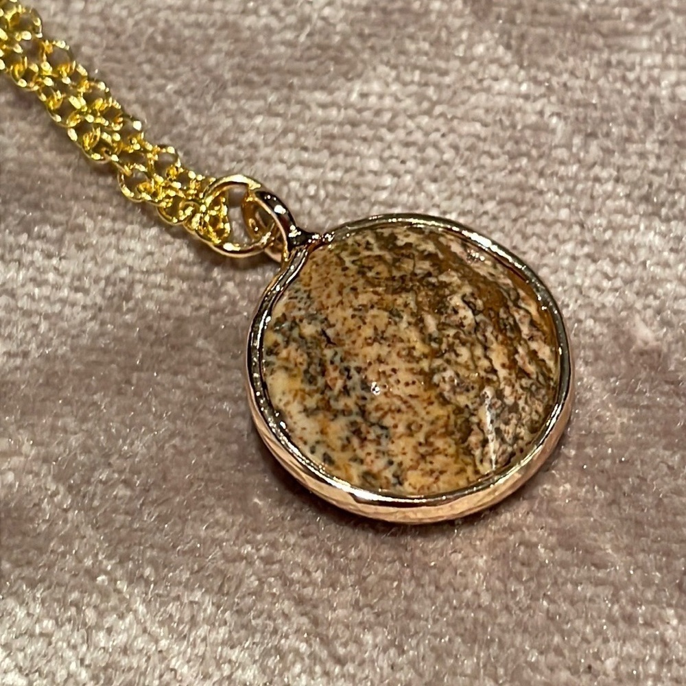 Natural Picture Jasper Pendant Necklace NWOTS